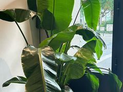 -外滩三号餐厅·创意中餐