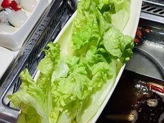 生菜-海底捞火锅(大学路新象城店)