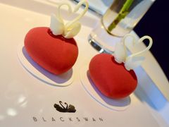-BLACKSWAN黑天鹅(环球店)