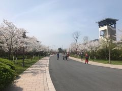-湘湖金融镇