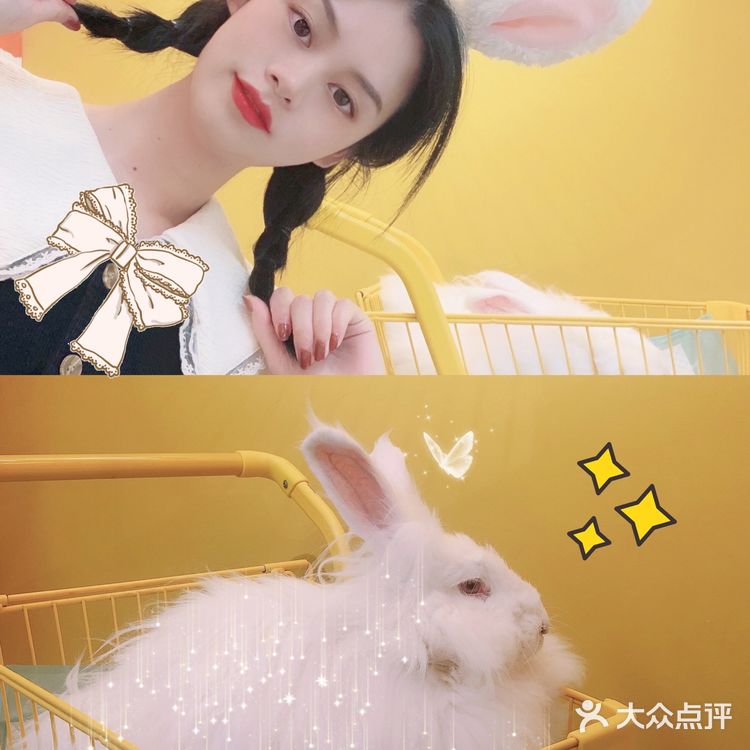 【西安探店】撸兔兔吗?安哥拉巨可爱邀你下午茶呀!