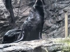-西雅图水族馆