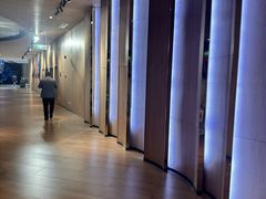 -SFC上影影城(港汇永华IMAX激光店)