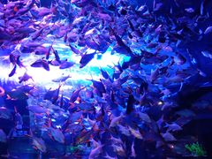 -成都浩海立方海洋公园