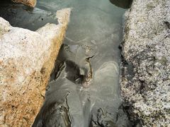 -台山黑沙湾海浴场