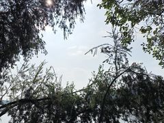 -松山湖风景区松湖烟雨