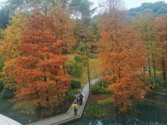 -云溪植物园
