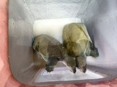 -恒生商业广场(上丰店)