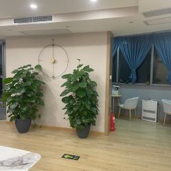 -酉嘉瑜伽YO+YOGA