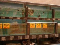 澳洲龙虾这个可以有-龙凤山庄(永定镇店)