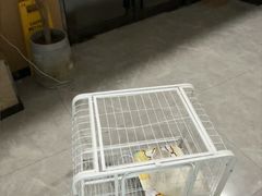 -半岛宠物医院24小时·内窥镜·牙科·碎石中心(府城大道店)