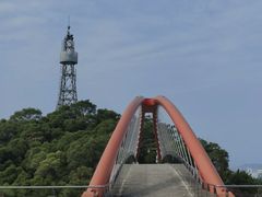 -金鸡山公园