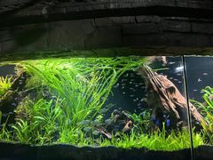 -上海海洋水族馆