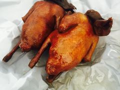 -南粤光明乳鸽(宝安中心店)
