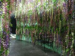 -郑州梵高星空错觉艺术馆(大上海城旗舰店)