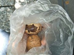 -金盆阿嬷香菇茶叶蛋(玄光店)