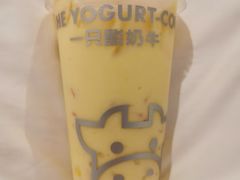 -一只酸奶牛(八一路店)