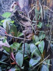 -酷嗒动物文化乐园(cutezoo西溪乐天城店)