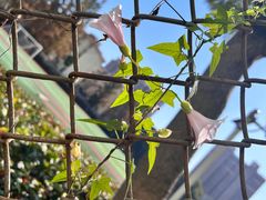 -上海市材料工程学校