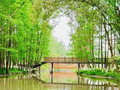 -桤木河湿地公园