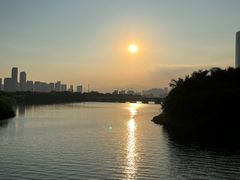 -厦门园林博览苑