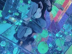 -苏州5D星空错觉艺术馆