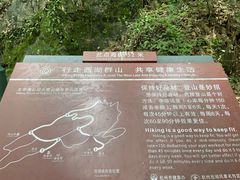 -九曜山