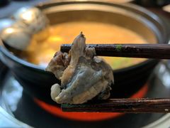 -芸鲜季·云南野生菌餐厅· 云南风物味研社(闵行店)