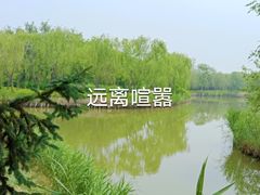 -塘沽森林公园