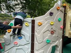 -苏州河梦清园环保主题公园