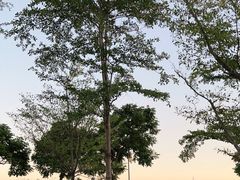 -深圳湾公园(南山区)