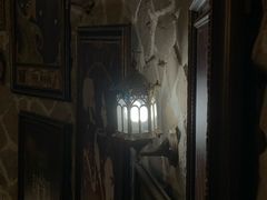-雪灵魔法世界SHELLY’S TAROT(大良桂畔里店)