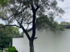 -金鸡山公园