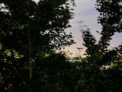 -顽啤熊·酒客酒馆(苏城夜景必选店)