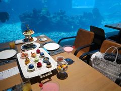 -涛·海底餐厅·美人鱼·自助餐·海底隧道(三亚海棠湾洲际度假酒店)