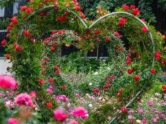 -人民公园(罗湖区)