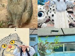 -青藏高原野生动物园