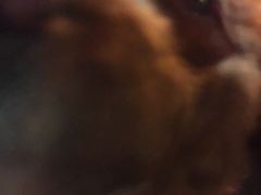 -嘉善路(地铁站)