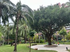 -三亚湾海居雅高铂尔曼度假酒店