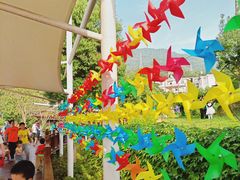 -泉州海丝野生动物世界