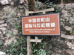 -普陀山风景区-佛顶山