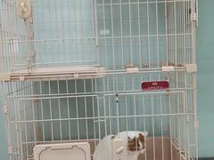 -嘉馨宠物医院·CT影像转诊·心脏科·犬猫全科诊疗中心(下沙大学城院区)