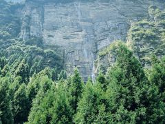 -重庆睡佛山森林公园