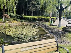 -苏州河梦清园环保主题公园