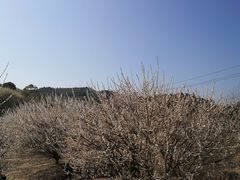 -福建天门山