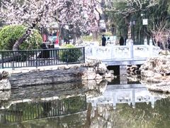 -宣武艺园
