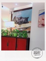 -咪咪比基尼脱毛专业店