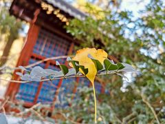 -径山寺