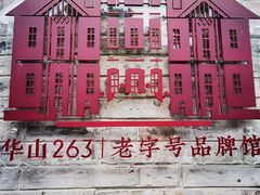 -华山263老字号品牌馆
