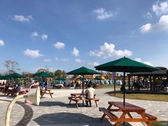 -季高兔窝窝亲子园(上海薰衣草公园店)